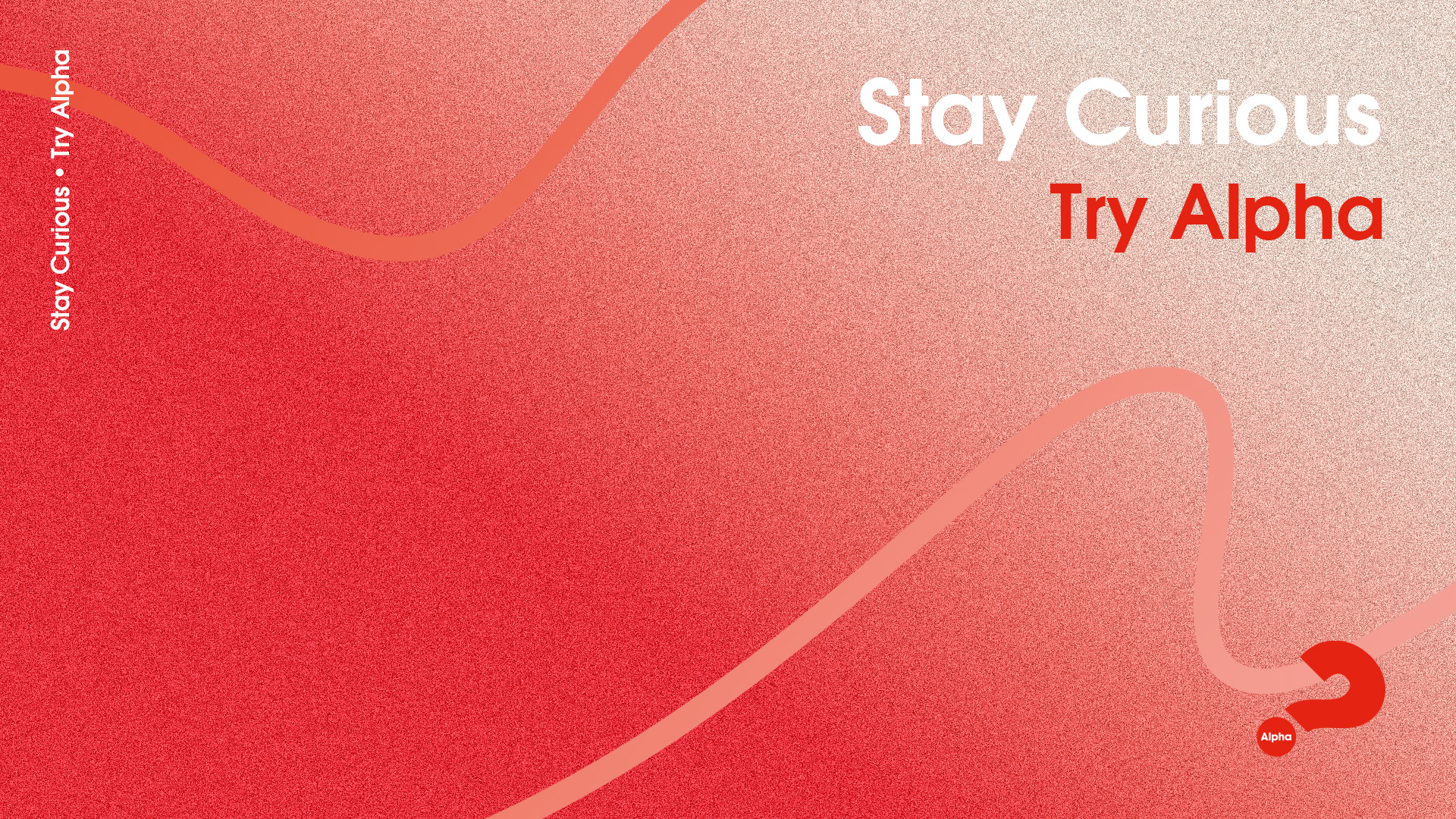 Alpha at Hope Church